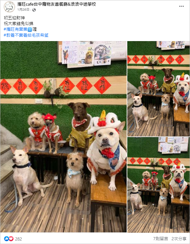 【台中寵物餐廳推薦】8間精選台中狗狗餐廳,享受被毛小孩圍繞的幸福 叮咚News|分享新奇與樂趣