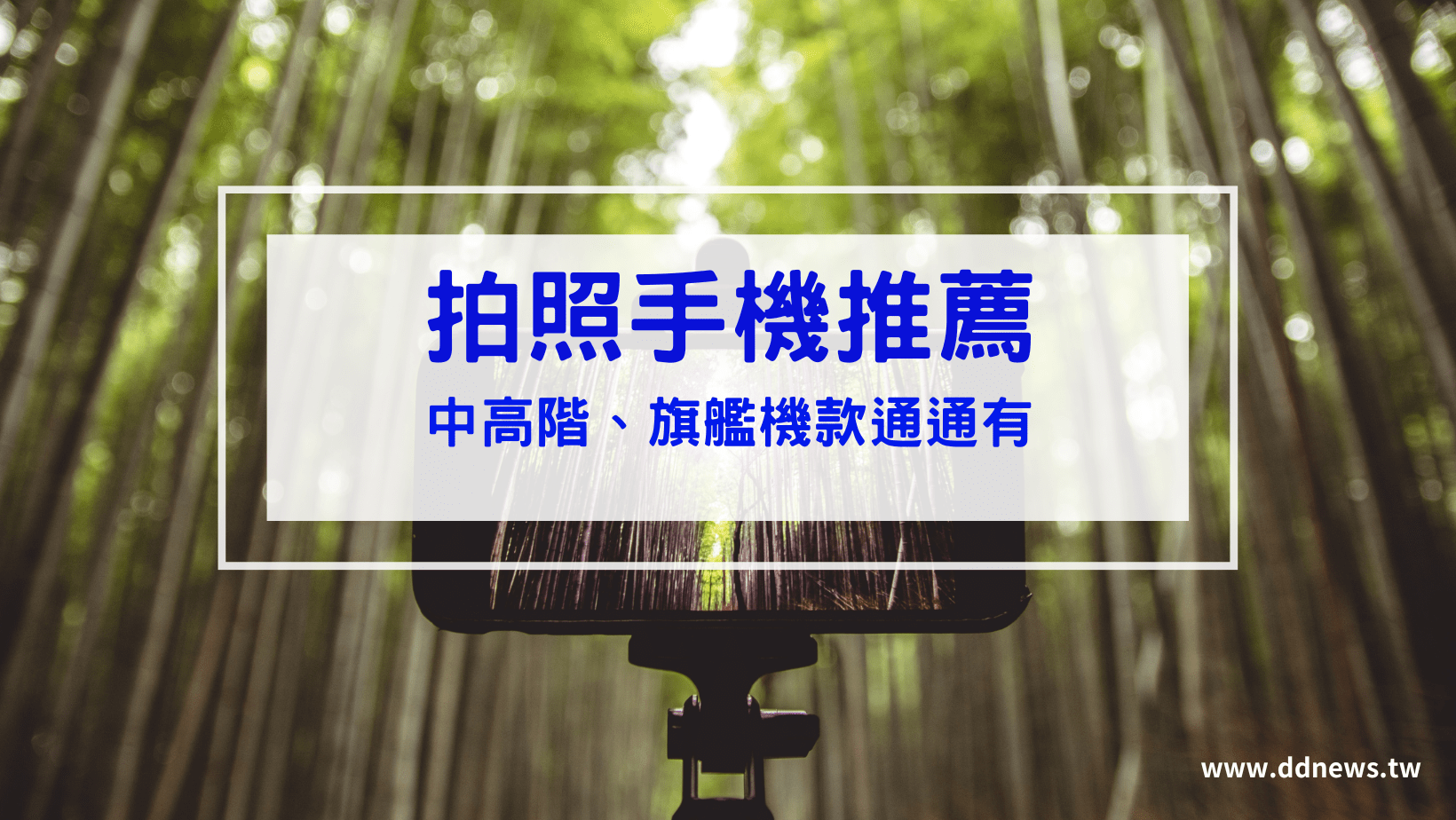 叮咚News｜分享新奇與樂趣