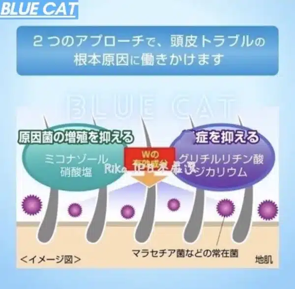 樂敦製藥曼秀雷敦_去屑洗髮精推薦_ Medi quick h頭皮乾癢改善：圖片 2