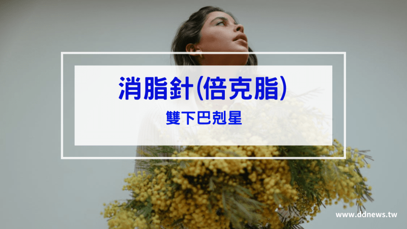 叮咚News｜分享新奇與樂趣