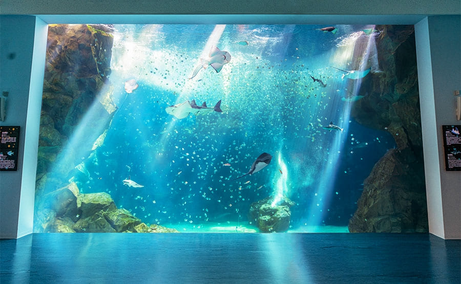 【桃園景點推薦】桃園Xpark水族館|門票、交通、最新優惠,一日遊好去處及暑期活動推薦 Xpark水族館-福爾摩沙Formosa