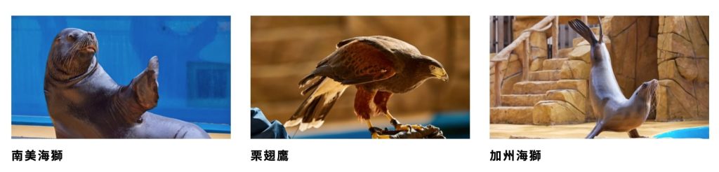 【桃園景點推薦】桃園Xpark水族館|門票、交通、最新優惠,一日遊好去處及暑期活動推薦 與眾同樂生態解說