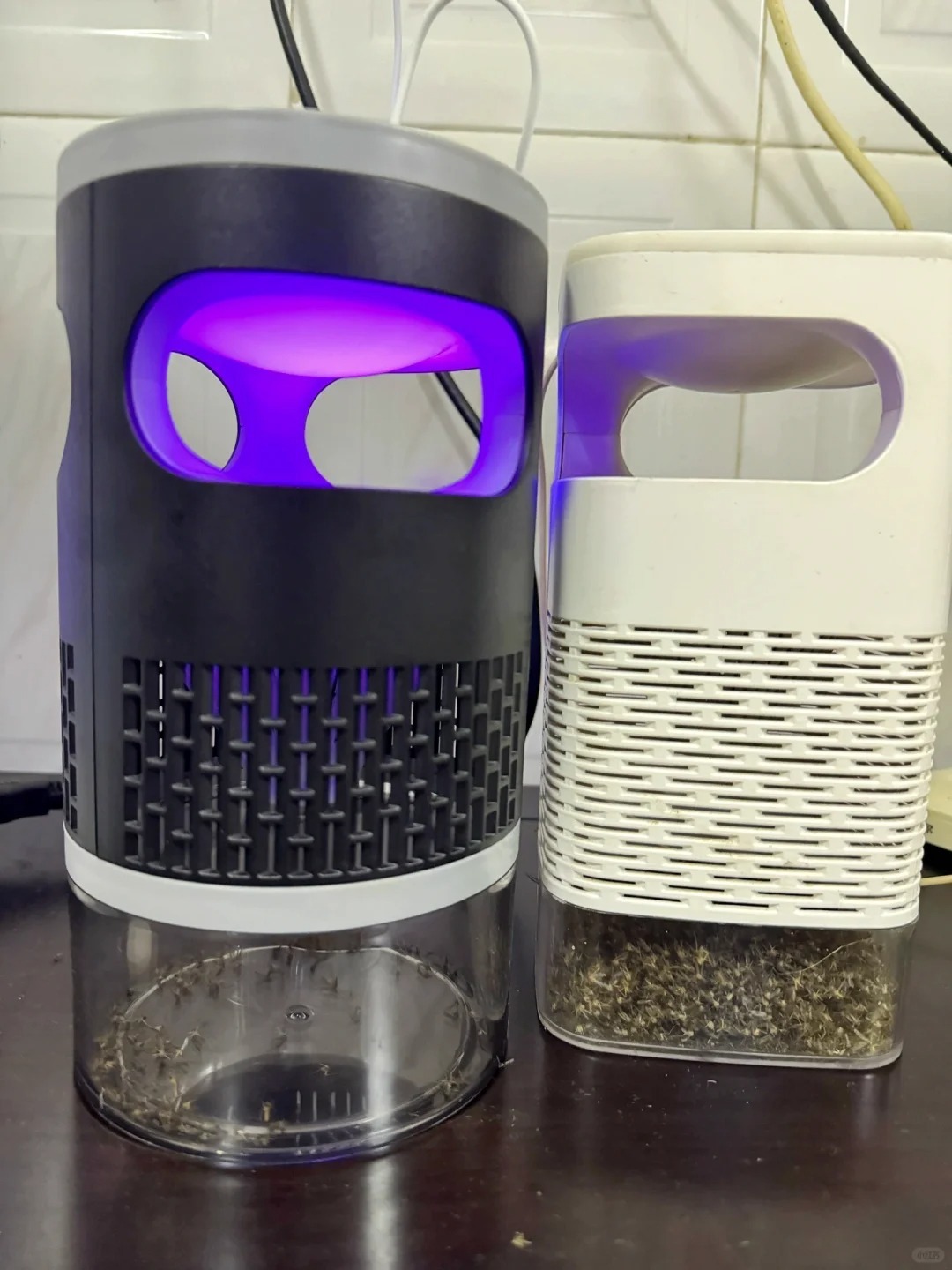 購買捕蚊燈，要注意不同的細節