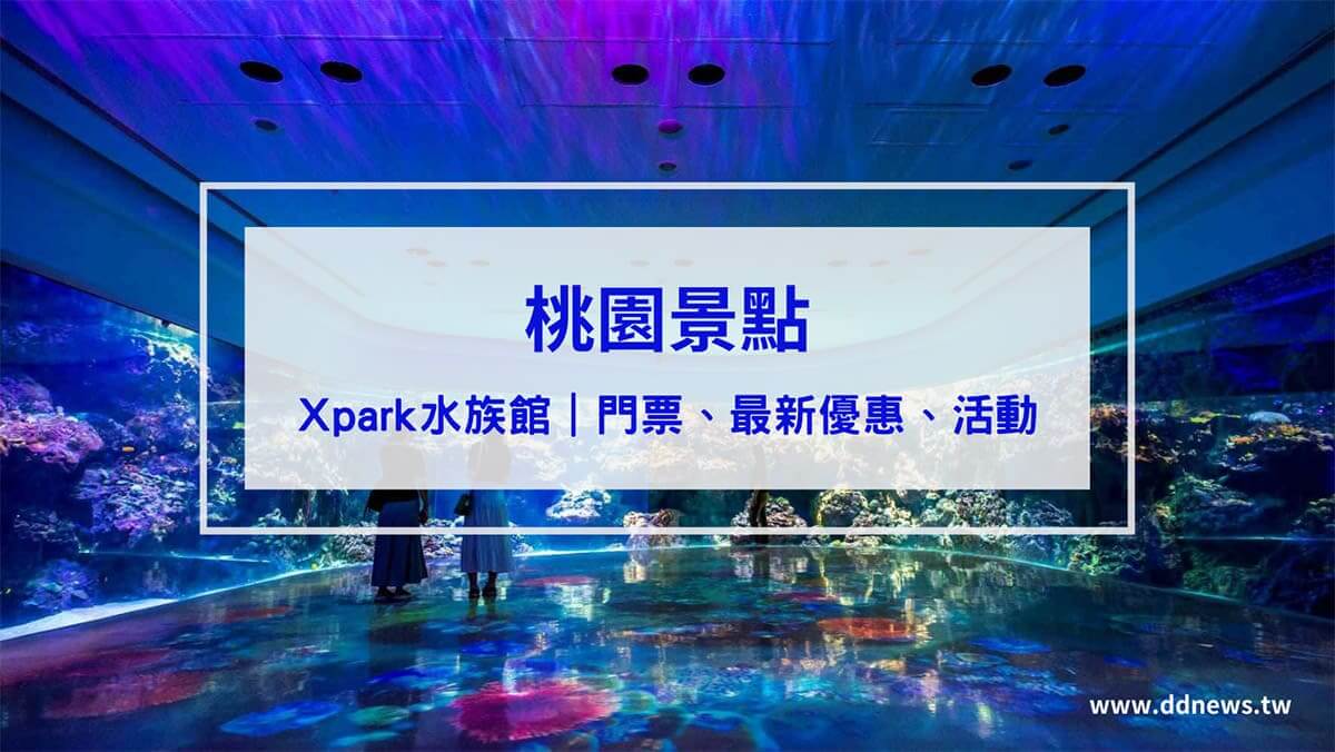 叮咚News｜分享新奇與樂趣