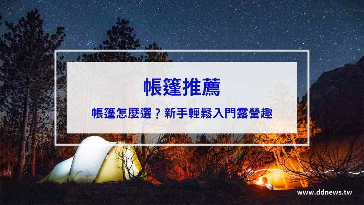叮咚News｜分享新奇與樂趣