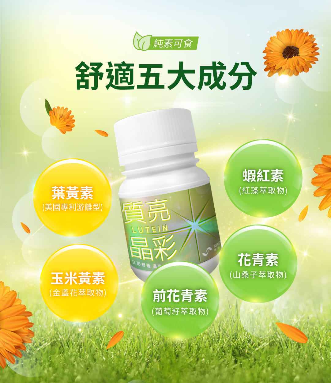 叮咚News｜分享新奇與樂趣