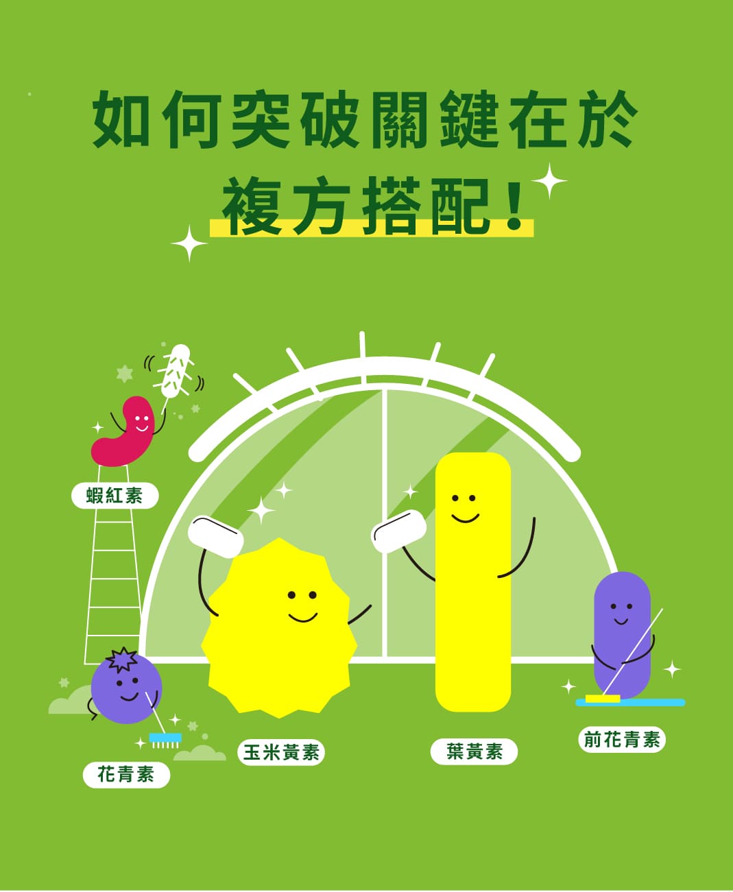叮咚News｜分享新奇與樂趣