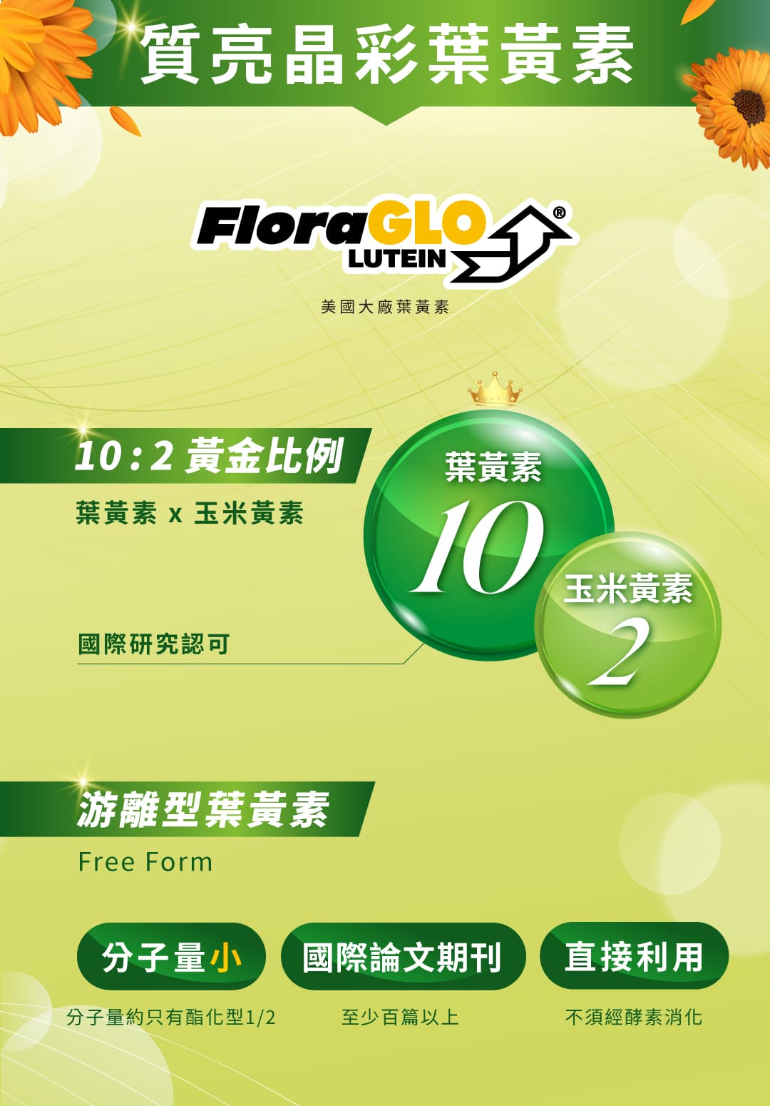 叮咚News｜分享新奇與樂趣