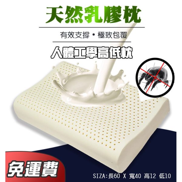 紳娜多家居X乳膠枕：圖片 6