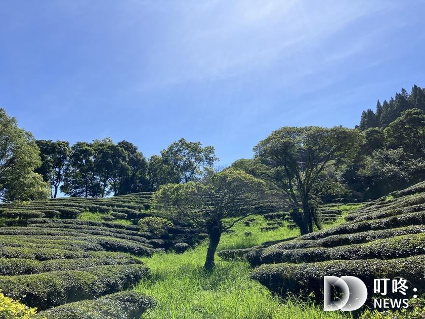 三峽景點必訪清單:親子、IG打卡景點、室內、山區、免費拍照景點 三峽景點