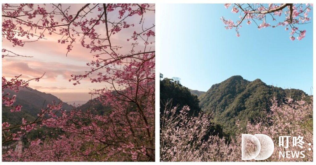 三峽景點必訪清單:親子、IG打卡景點、室內、山區、免費拍照景點 三峽景點
