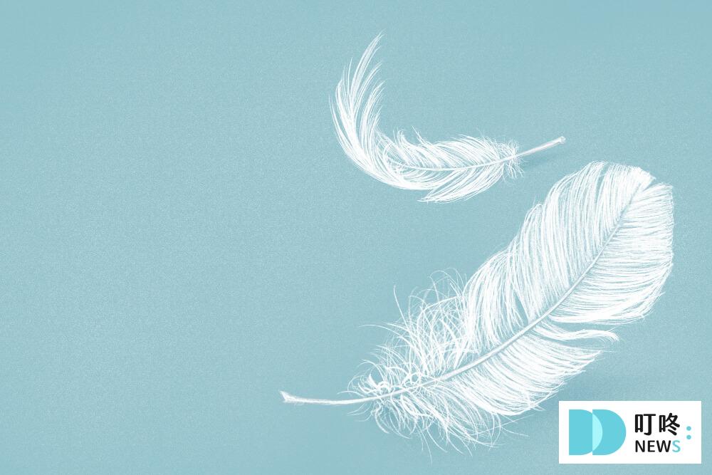 【羽絨外套推薦】Dcard、ptt網友人氣好評冬季羽絨外套品牌推薦:大人男款、大人女款、兒童款,選購重點、怎麼洗一次看 2023羽絨外套推薦