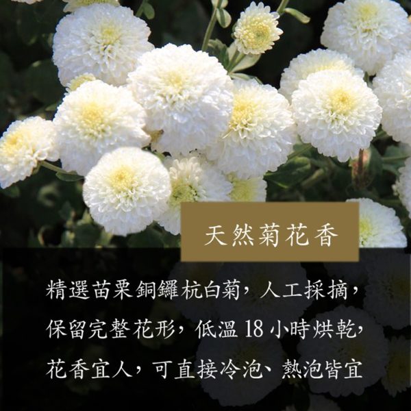 台灣菊花枸杞決明子茶：圖片 4