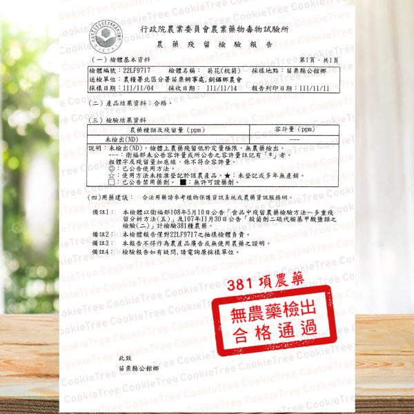 台灣菊花枸杞決明子茶：圖片 11