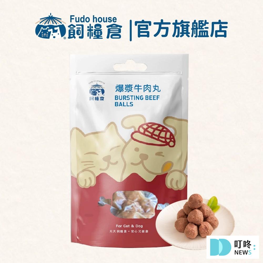 【貓鮮食推薦】精選2025熱搜好評品牌,貓咪的飲食由你把關 叮咚News|分享新奇與樂趣