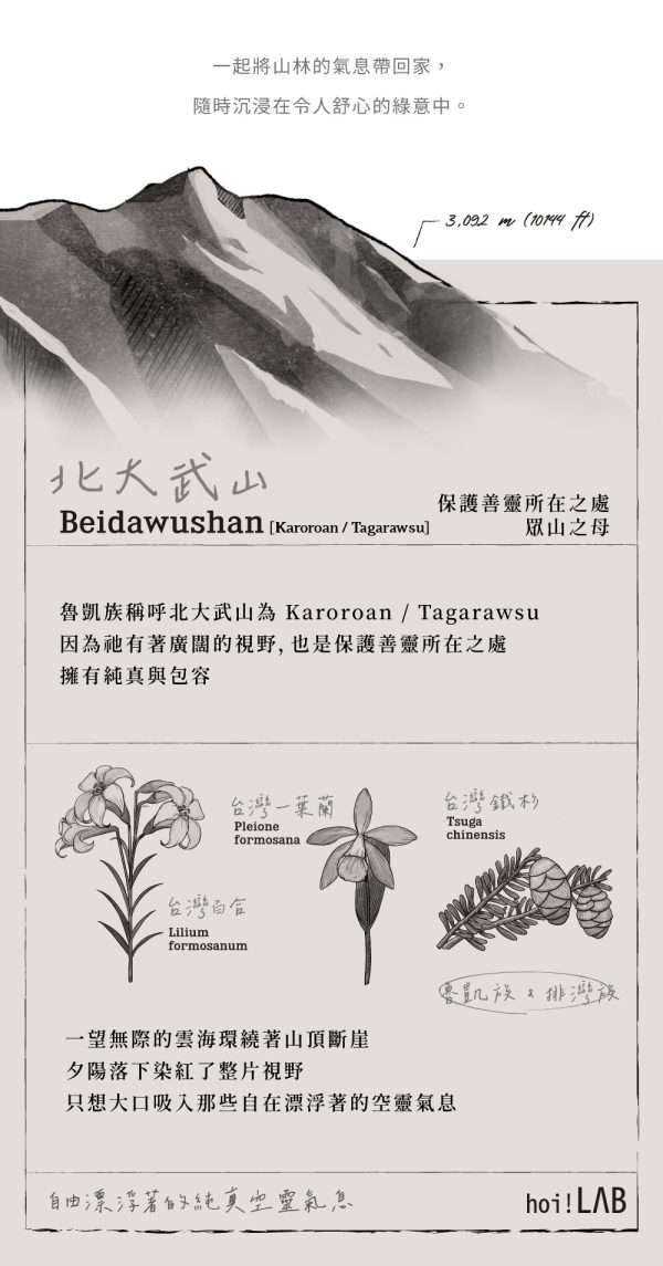 hoi!LAB台灣百岳香氛-造型擴香石/精油擴香180ML/水氧機精油15ML：圖片 14