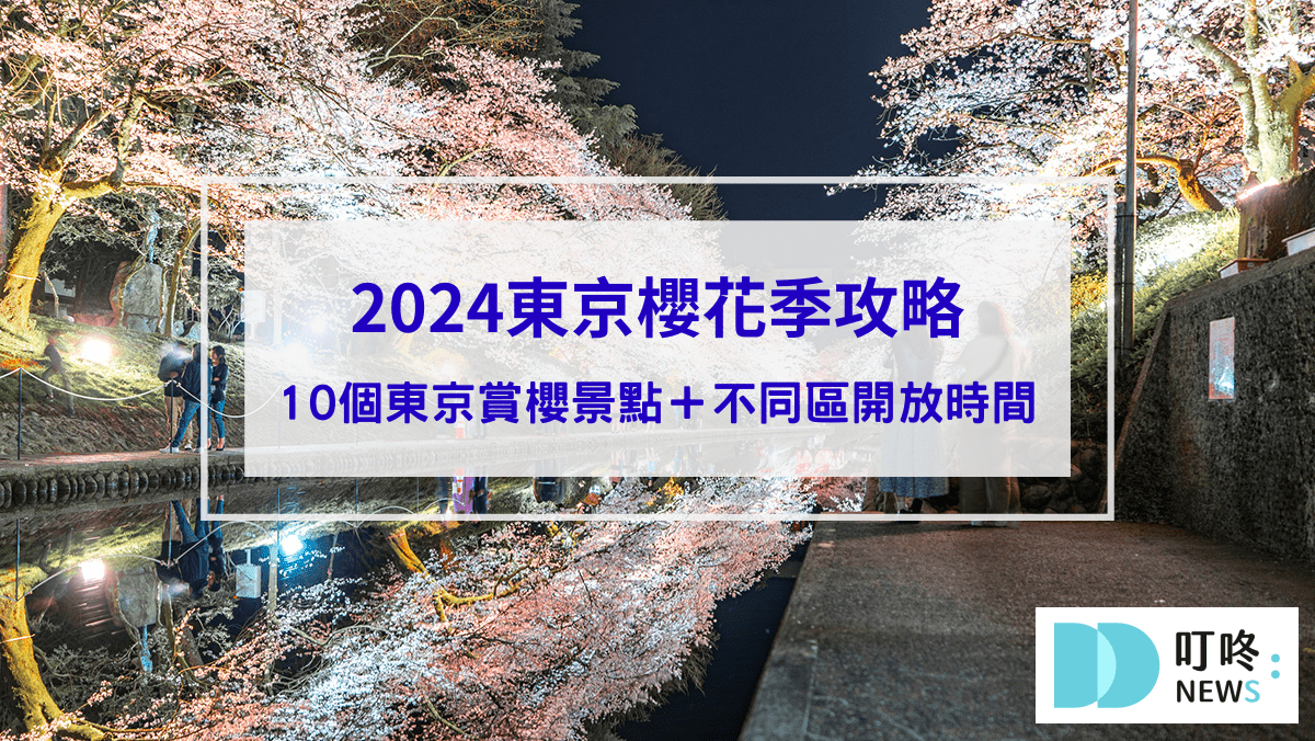 叮咚News｜分享新奇與樂趣