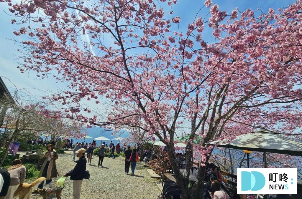 叮咚News｜分享新奇與樂趣