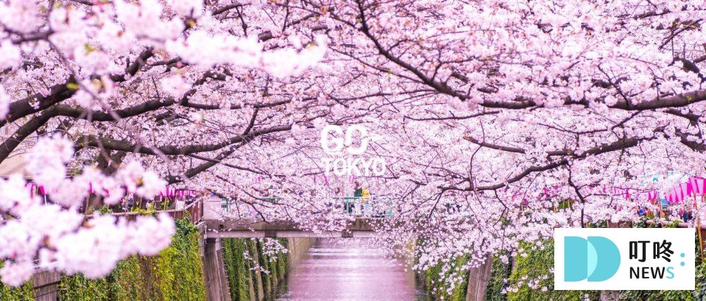 【2024東京櫻花季】東京櫻花3月底滿開!絕不能錯過的10個東京賞櫻景點報你知 2024東京櫻花季