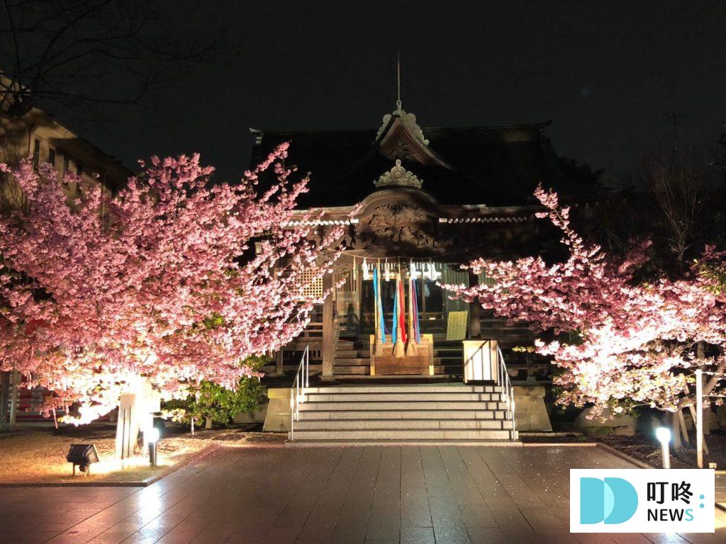 【2024東京櫻花季】東京櫻花3月底滿開!絕不能錯過的10個東京賞櫻景點報你知 2024東京櫻花季