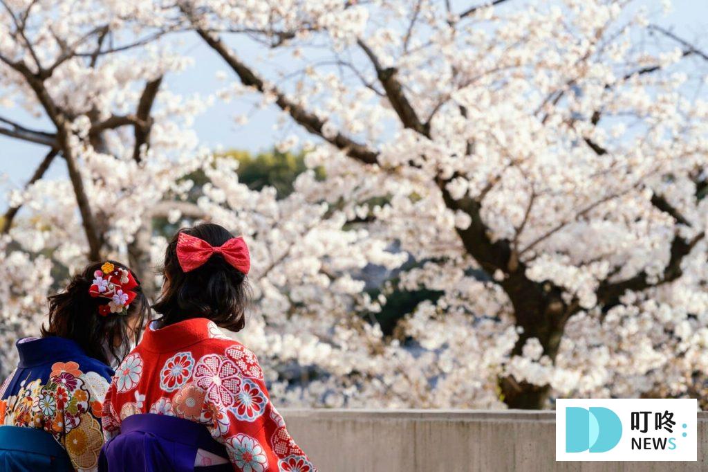 【2024東京櫻花季】東京櫻花3月底滿開!絕不能錯過的10個東京賞櫻景點報你知 2024東京櫻花季 東京櫻花3月底滿開 絕不能錯過的10個東京賞櫻景點報你知 (1)