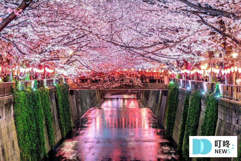 【2024東京櫻花季】東京櫻花3月底滿開!絕不能錯過的10個東京賞櫻景點報你知 2024東京櫻花季