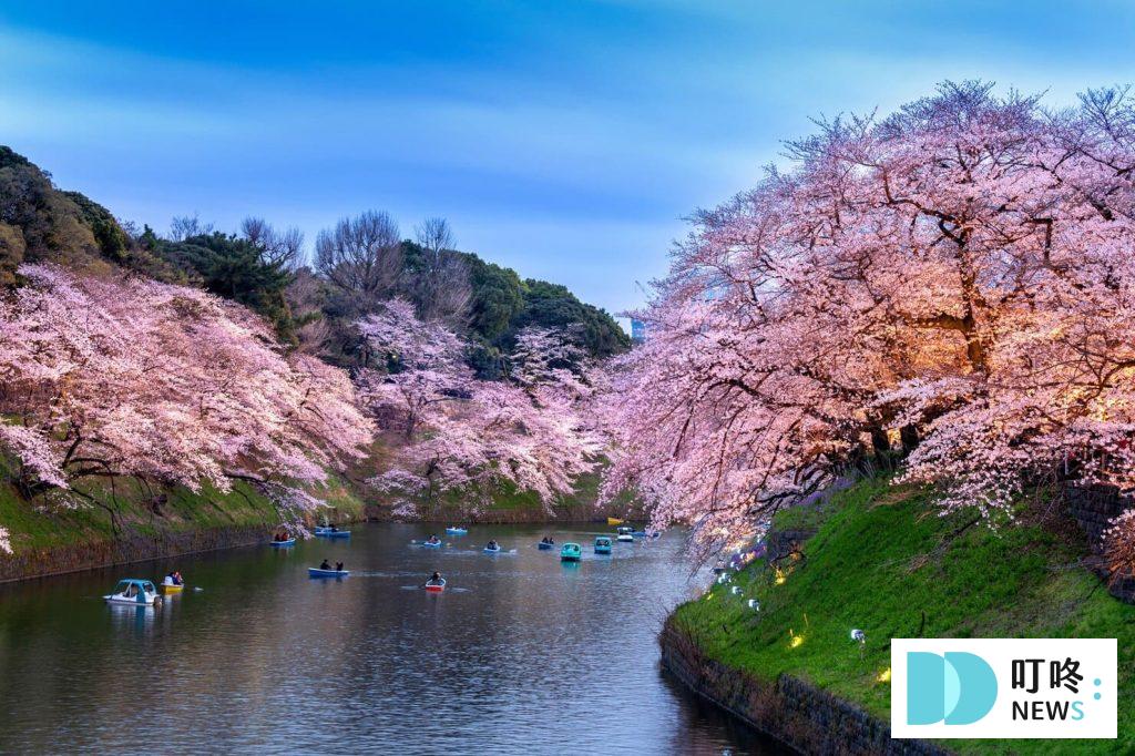【2024東京櫻花季】東京櫻花3月底滿開!絕不能錯過的10個東京賞櫻景點報你知 2024東京櫻花季