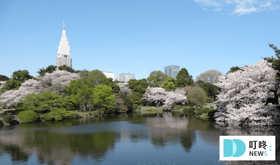 【2024東京櫻花季】東京櫻花3月底滿開!絕不能錯過的10個東京賞櫻景點報你知 2024東京櫻花季