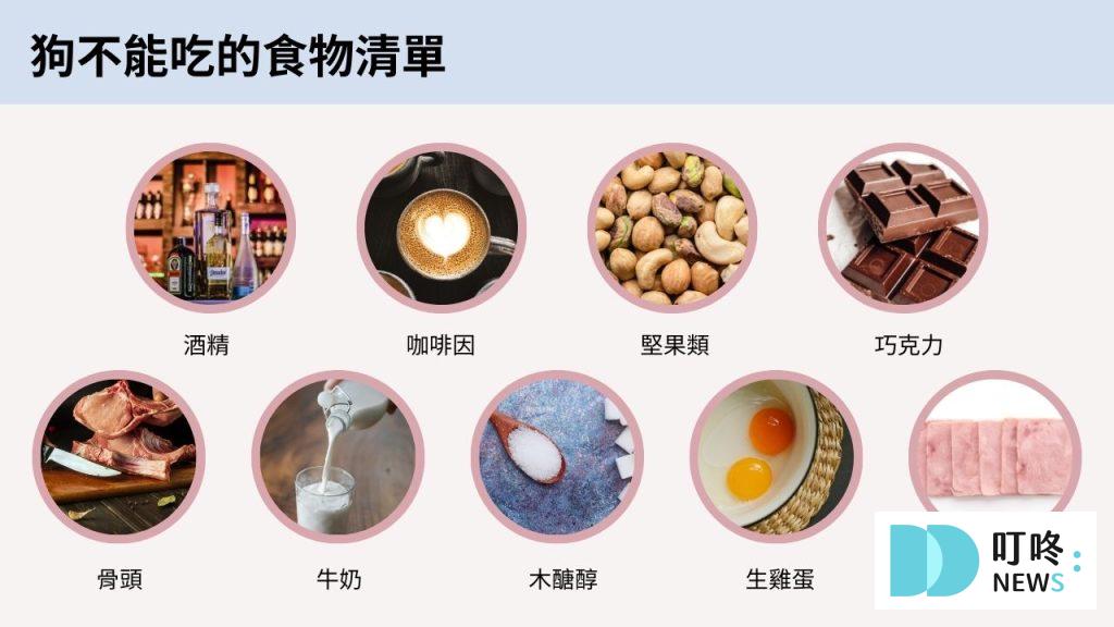 狗不能吃什麼蔬菜、水果？不可不知的常見食物，毛爸媽千萬別餵錯！