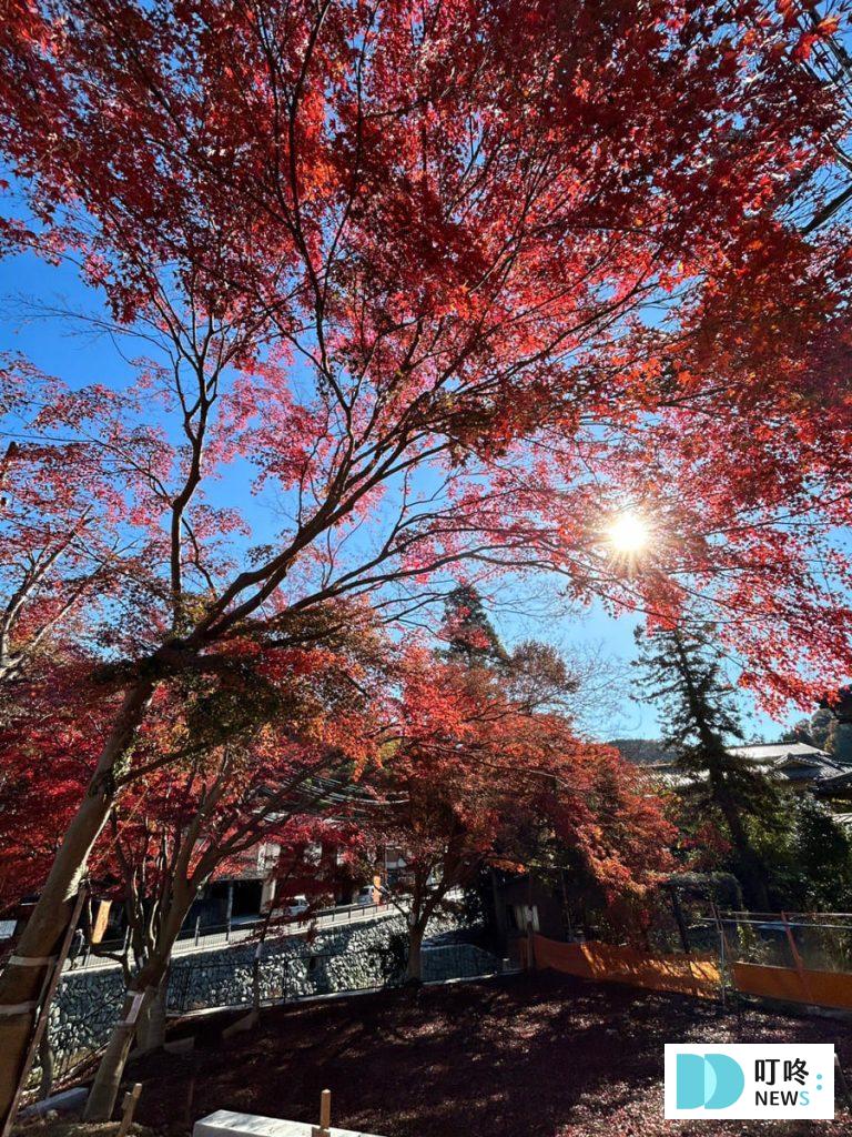 【高尾山一日遊】交通路線、賞楓指南、天氣一次看,不可錯過的東京近郊絕美楓紅! 高尾山一日遊