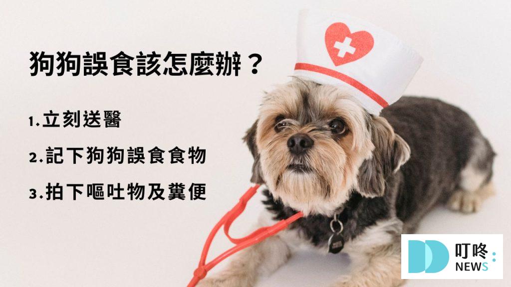 狗狗誤食該怎麼辦？