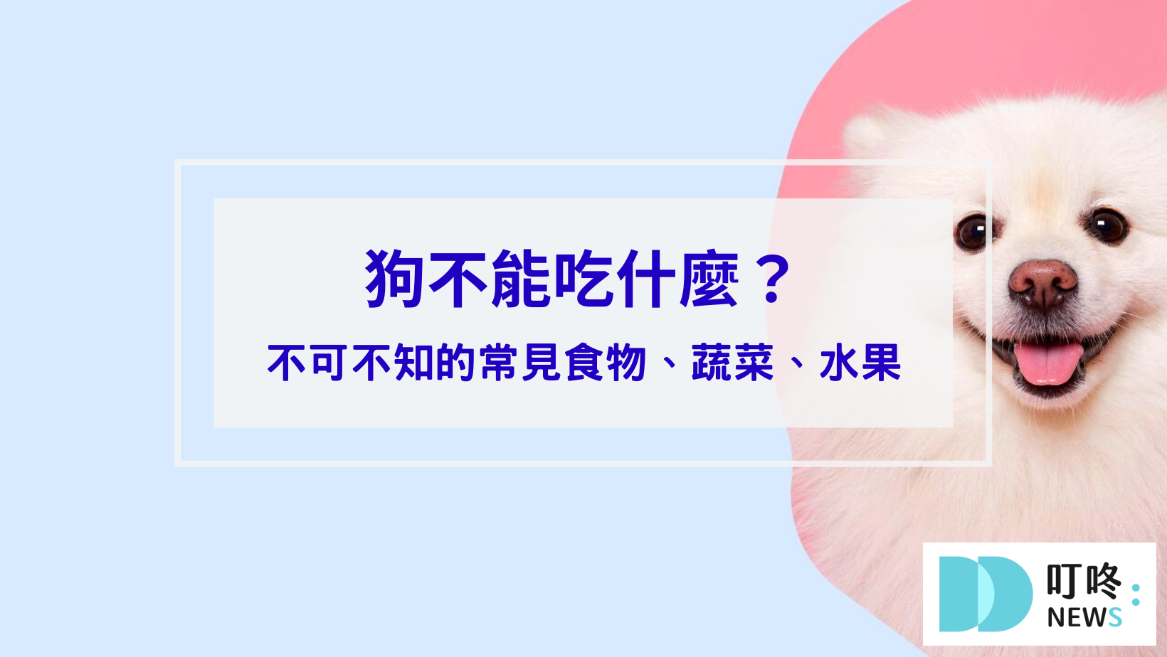 叮咚News｜分享新奇與樂趣
