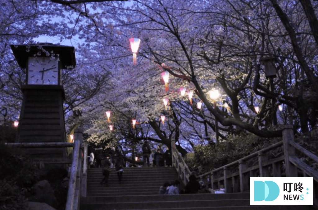 【2024東京櫻花季】東京櫻花3月底滿開!絕不能錯過的10個東京賞櫻景點報你知 2024東京櫻花季