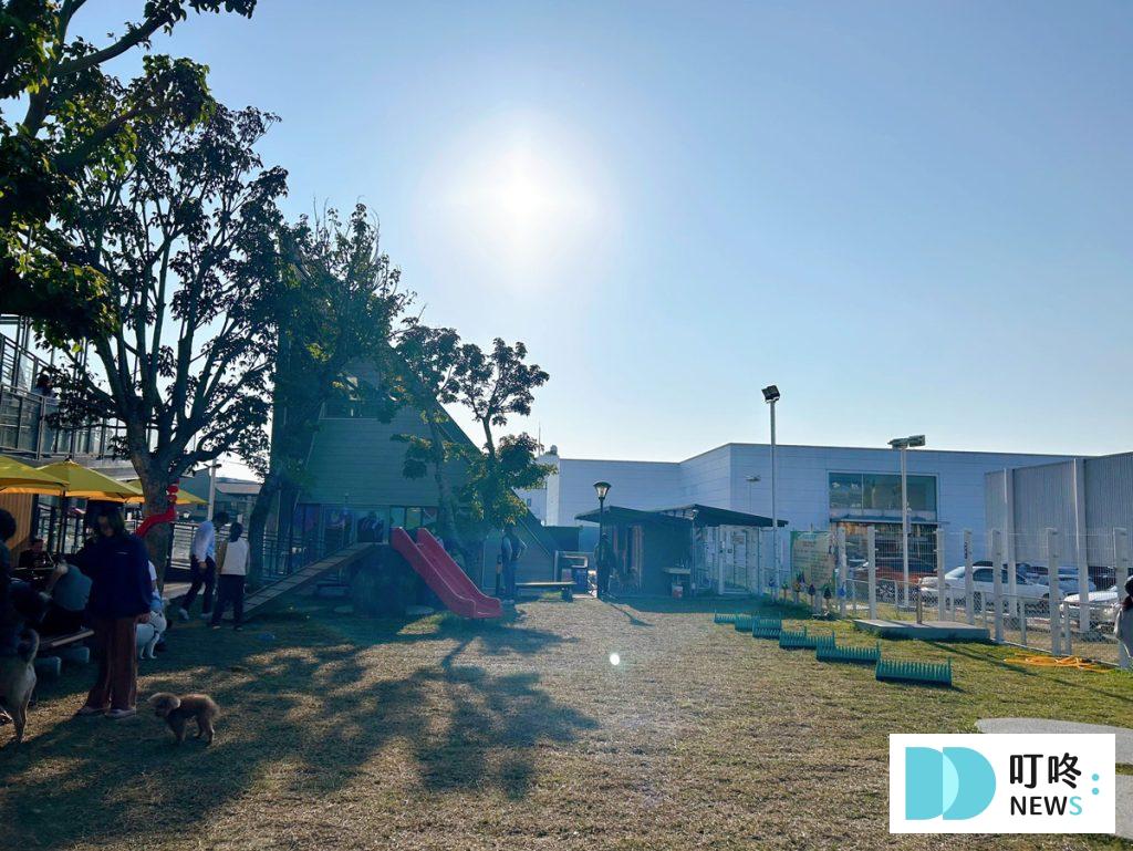 瘋狂尾巴寵物遊樂園|台中最新寵物樂園開箱,停車、收費、園區評價一次看! 叮咚News|分享新奇與樂趣