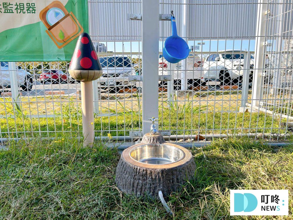 瘋狂尾巴寵物遊樂園|台中最新寵物樂園開箱,停車、收費、園區評價一次看! 瘋狂尾巴寵物遊樂園