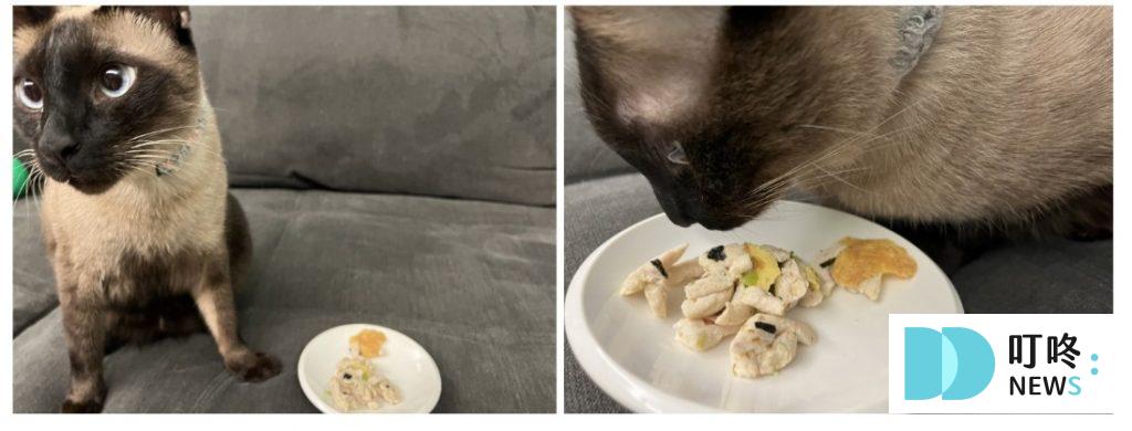 【貓菓子】貓鮮食開箱:精選入門5種口味,貓咪實測好不好吃 貓菓子