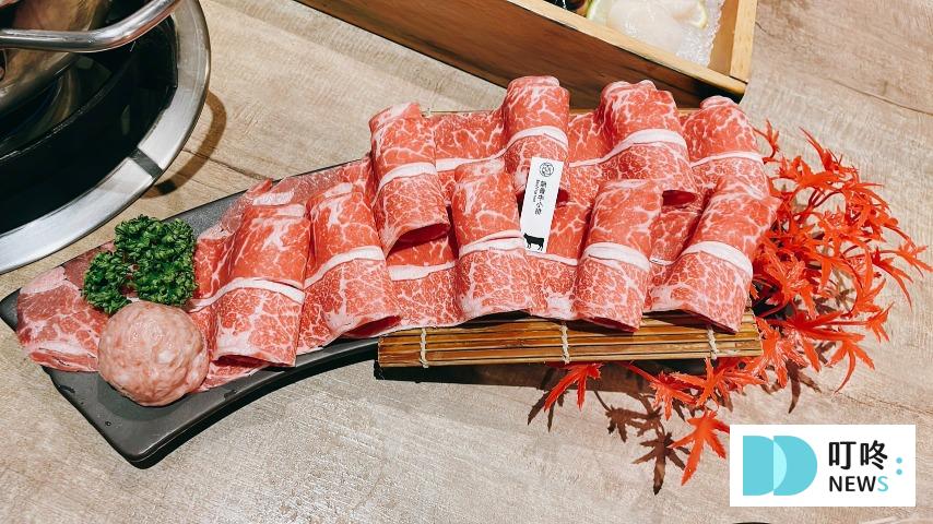 深紅汕頭鍋物|開箱無肉不歡純肉套餐,一人也能免費升級超級海陸饗宴。屠龍秘境專屬海鮮一把抓,優惠拿不完!#台中北屯火鍋 叮咚News|分享新奇與樂趣