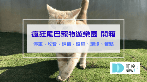 瘋狂尾巴寵物遊樂園