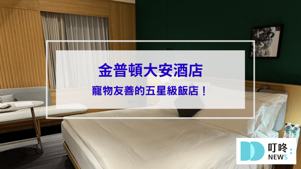 金普頓封面