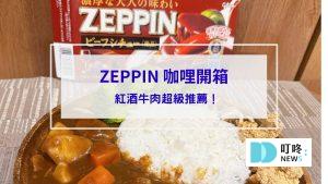 ZEPPIN咖哩開箱封面