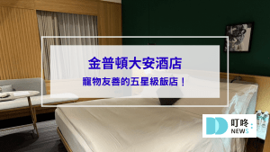 金普頓封面