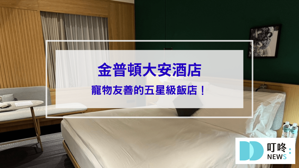 金普頓封面