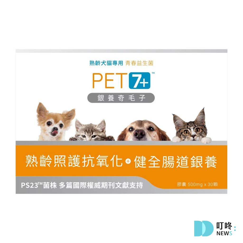 狗狗肚子一直叫怎麼辦?很可能是這4大因素所造成!釐清狗狗肚子的所有問題,必看狗狗營養保健總整理 狗狗零食推薦 健康+無毒+營養 (2025熱銷款) 叮咚News|分享新奇與樂趣