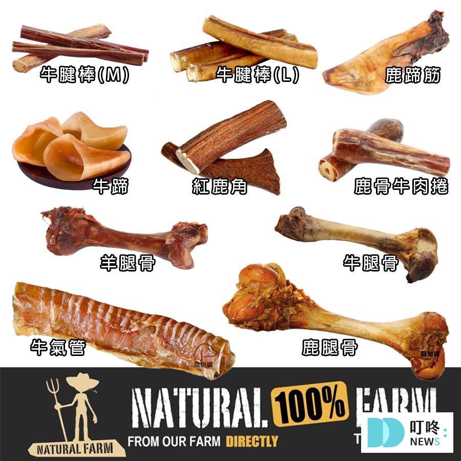 狗狗肚子一直叫怎麼辦?很可能是這4大因素所造成!釐清狗狗肚子的所有問題,必看狗狗營養保健總整理 狗狗零食推薦 健康+無毒+營養 (2025熱銷款) 狗狗骨頭零食