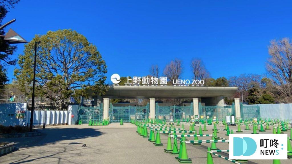 【東京親子景點推薦】不只東京迪士尼!東京親子自由行必去10大景點,大人小孩都玩翻天 東京親子景點推薦1-上野動物園