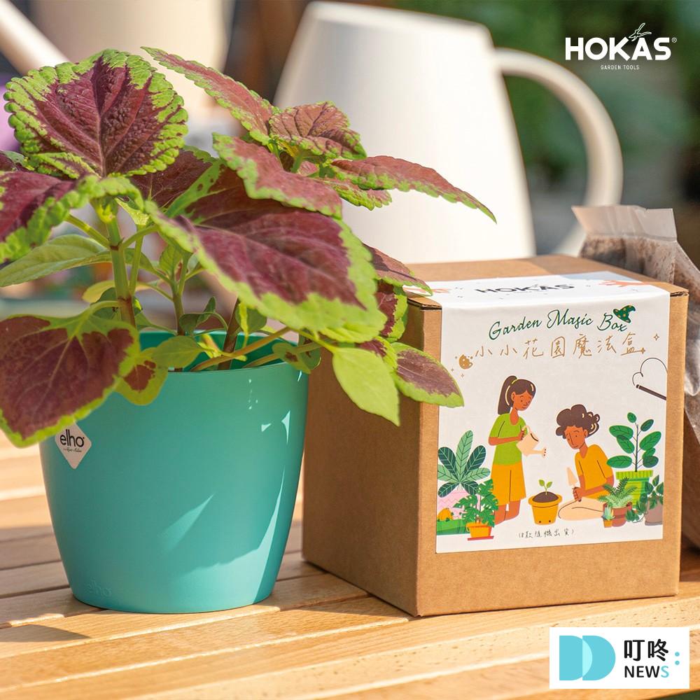 辦公小物推薦_療癒系1：HOKAS｜植物小盆栽1