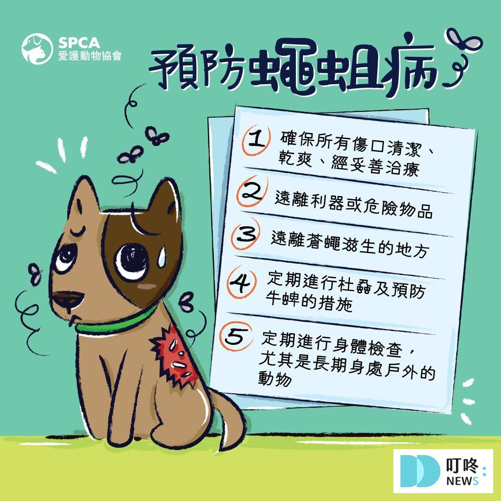 馬蠅傳染預防方法