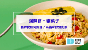 【貓菓子】貓鮮食開箱：精選入門5種口味，貓咪實測好不好吃