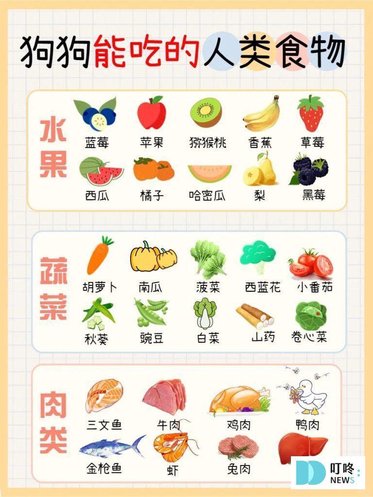 狗狗肚子一直叫怎麼辦?很可能是這4大因素所造成!釐清狗狗肚子的所有問題,必看狗狗營養保健總整理 狗狗零食推薦 健康+無毒+營養 (2025熱銷款) 狗狗禁忌食物