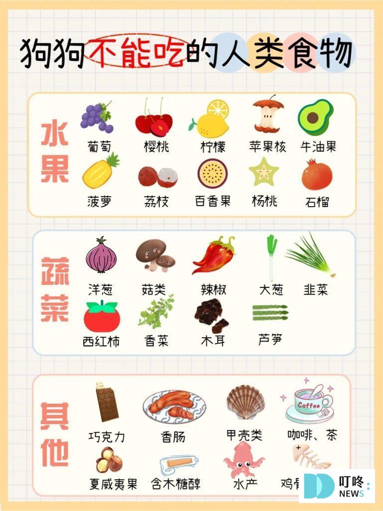 狗狗肚子一直叫怎麼辦?很可能是這4大因素所造成!釐清狗狗肚子的所有問題,必看狗狗營養保健總整理 狗狗零食推薦 健康+無毒+營養 (2025熱銷款) 狗不能吃的食物